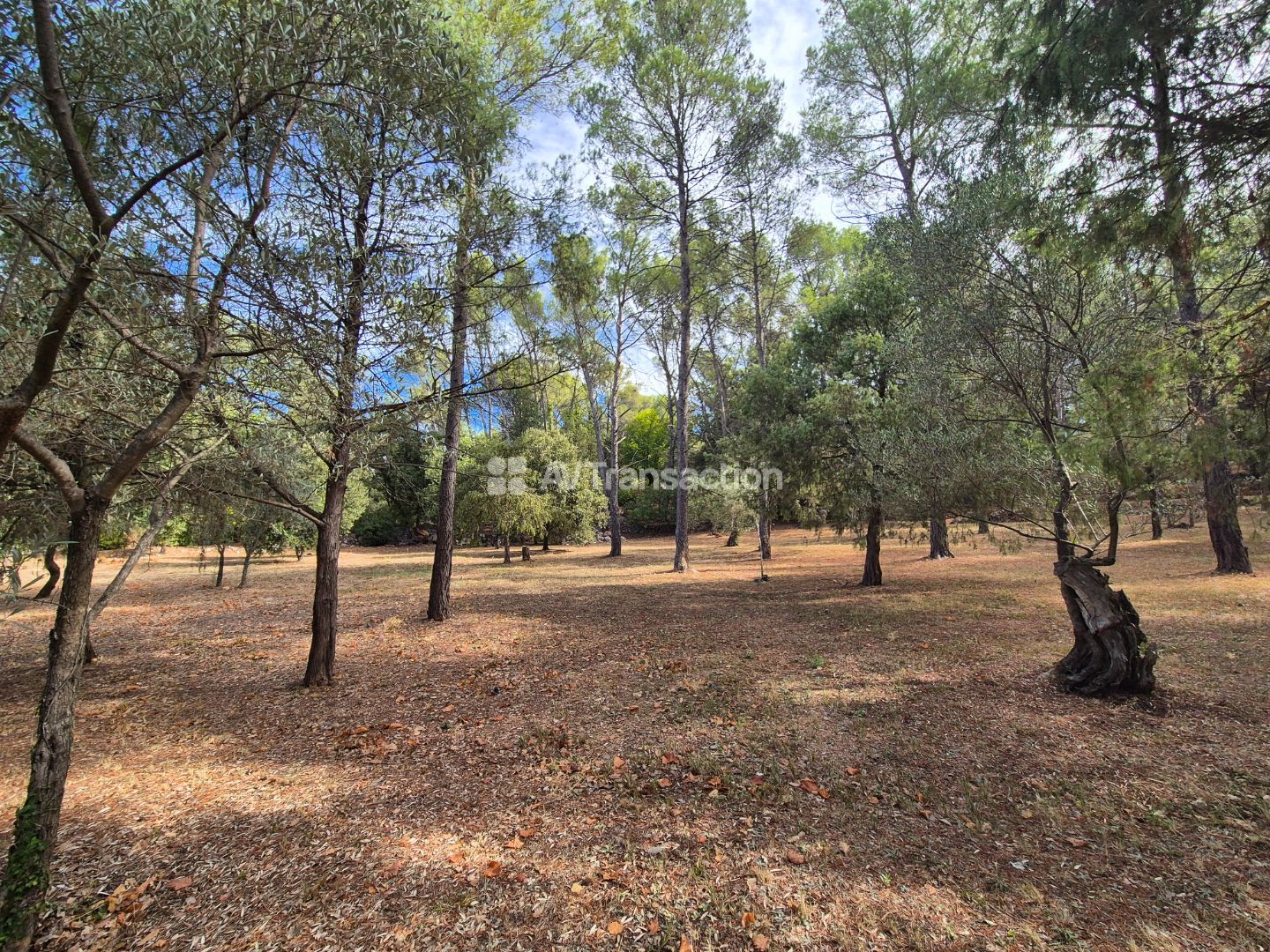 Maison à vendre  - 6 pièce(s) - 193m2 - Draguignan (83300)