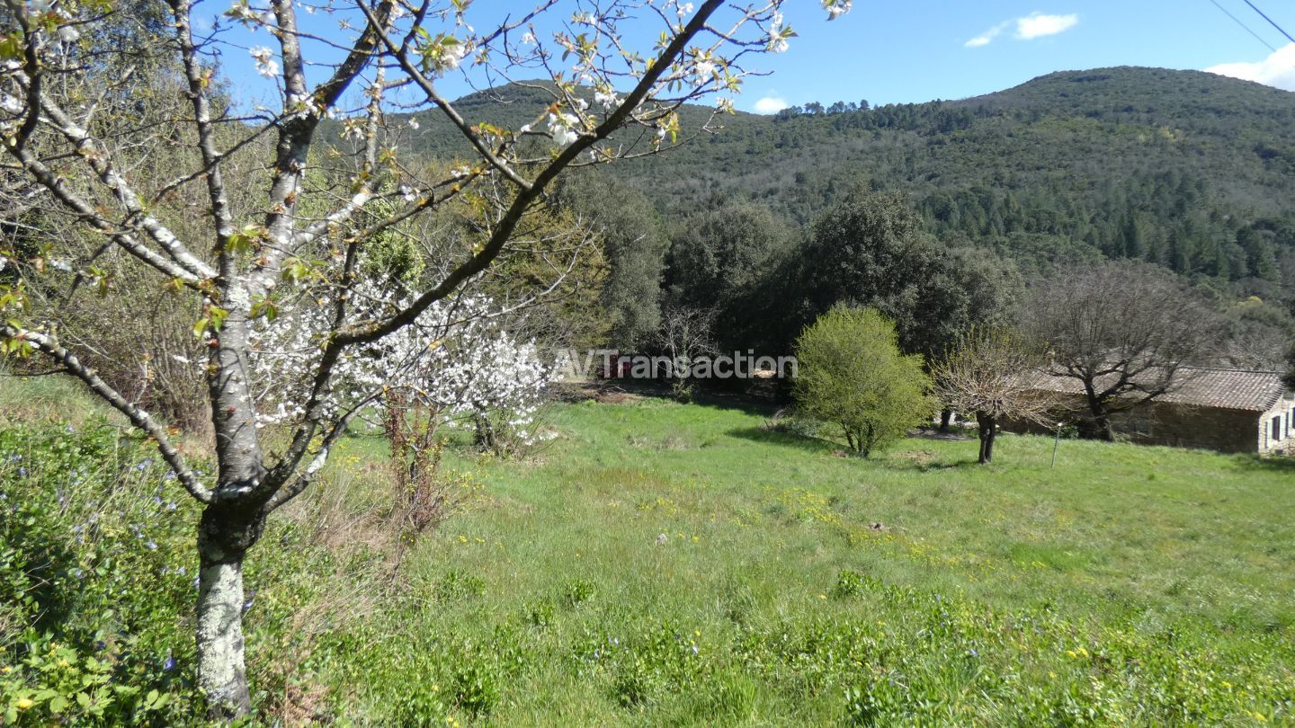 Maison de caractère à vendre  - 12 pièce(s) - 251m2 - Lasalle (30460)