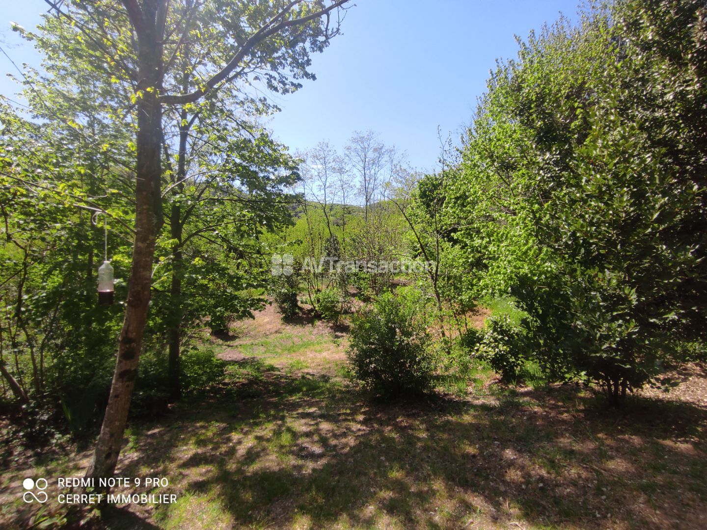 Maison et deux gîtes sur 6000m²