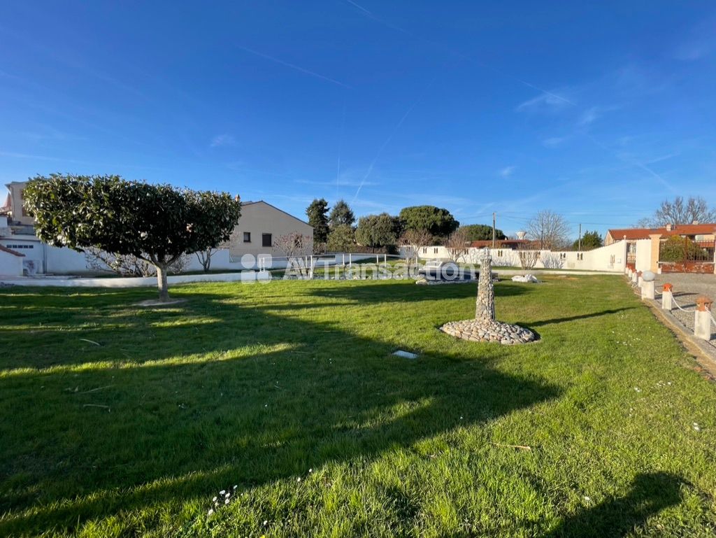 Terrain plat , plein centre