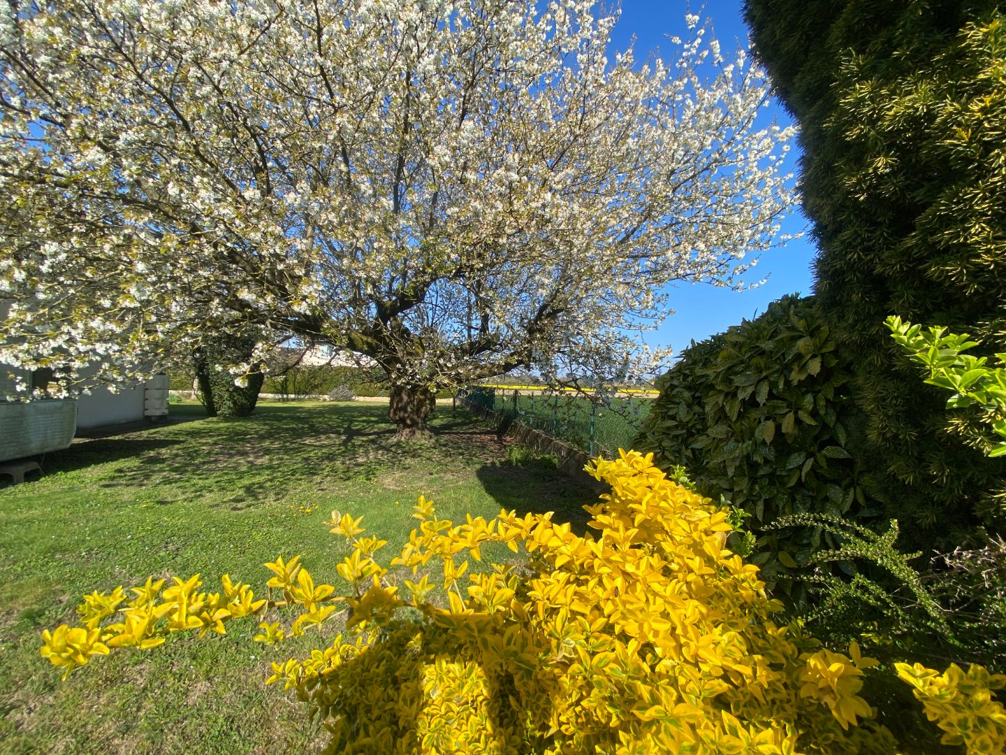 Maison à vendre  - 5 pièce(s) - 143m2 - Genas (69740)