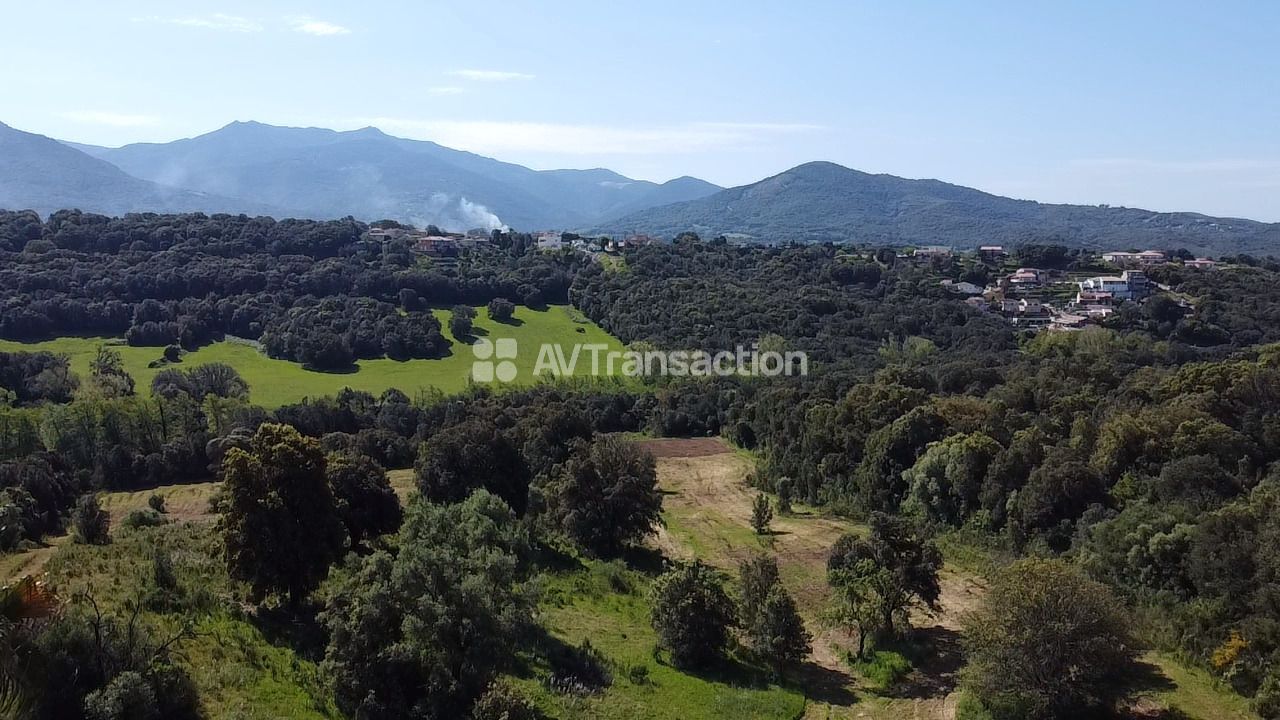 Maison mitoyenne à vendre  - 4 pièce(s) - 137.46m2 - Bastelicaccia (20129)