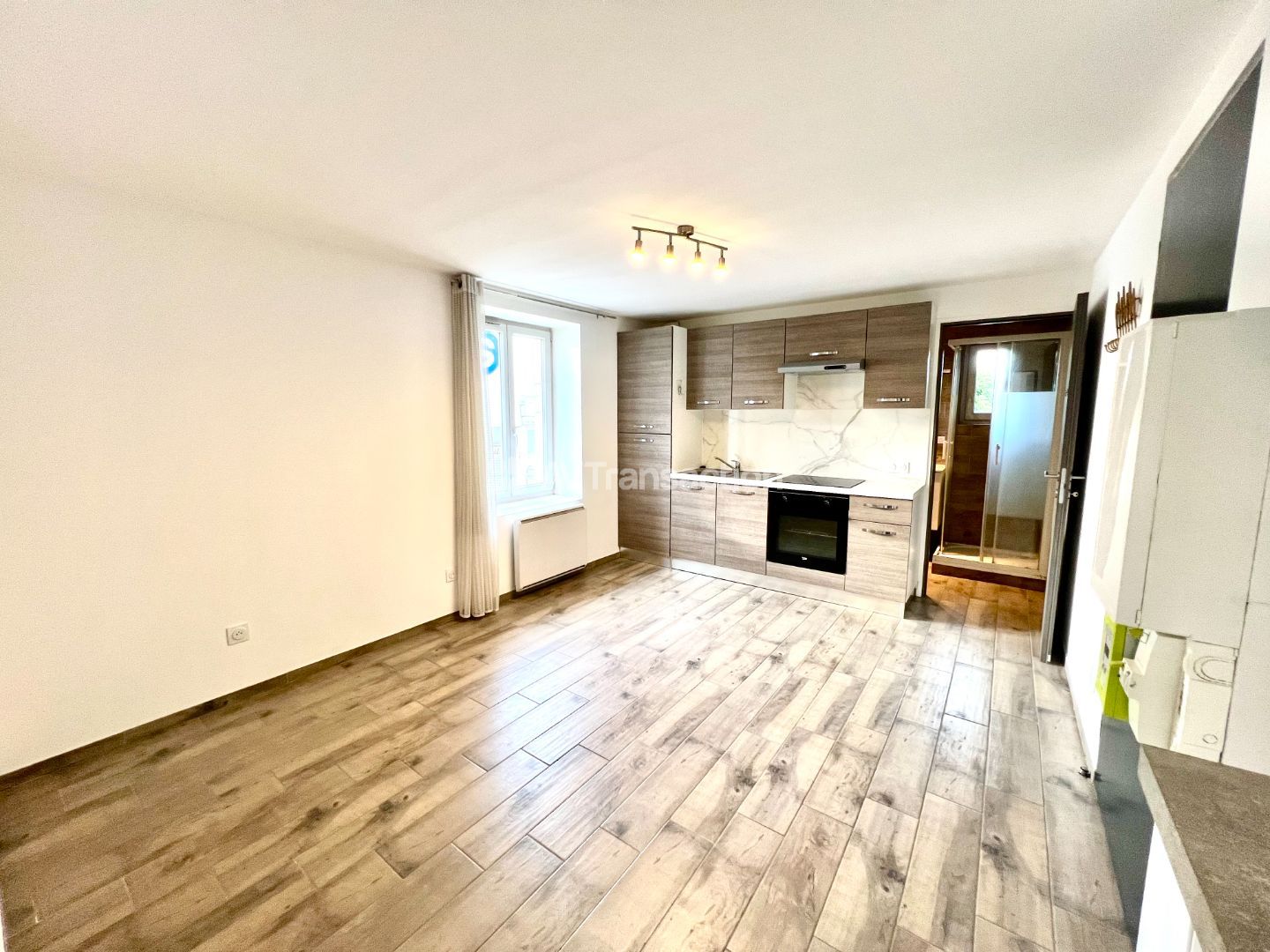 Appartement rénové à vendre  - 2 pièce(s) - 29m2 - Belley (01300)