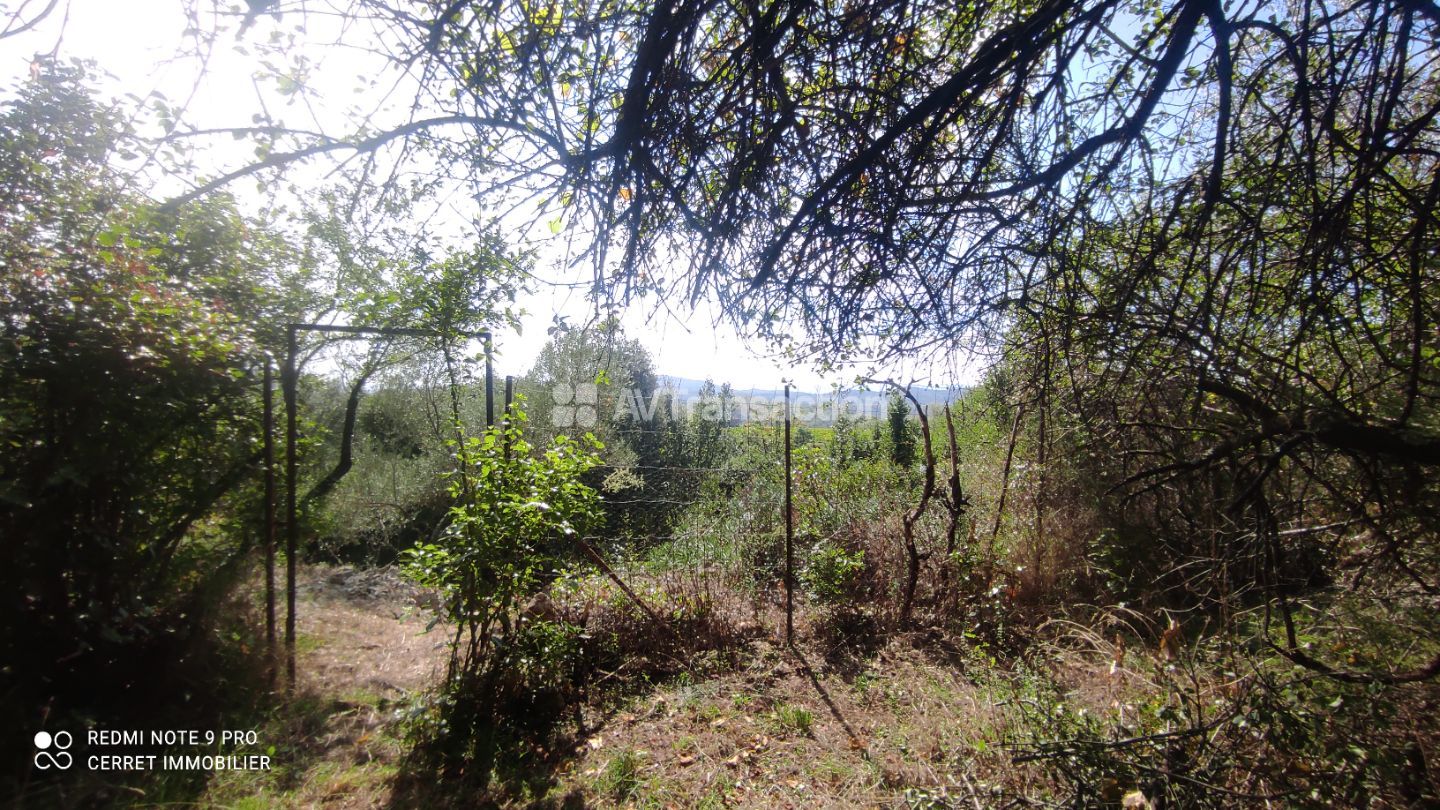 Terrain à bâtir avec vue