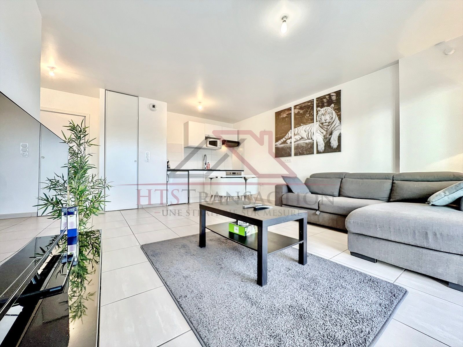 Appartement à louer  - 2 pièce(s) - 54m2 - Annemasse (74100)