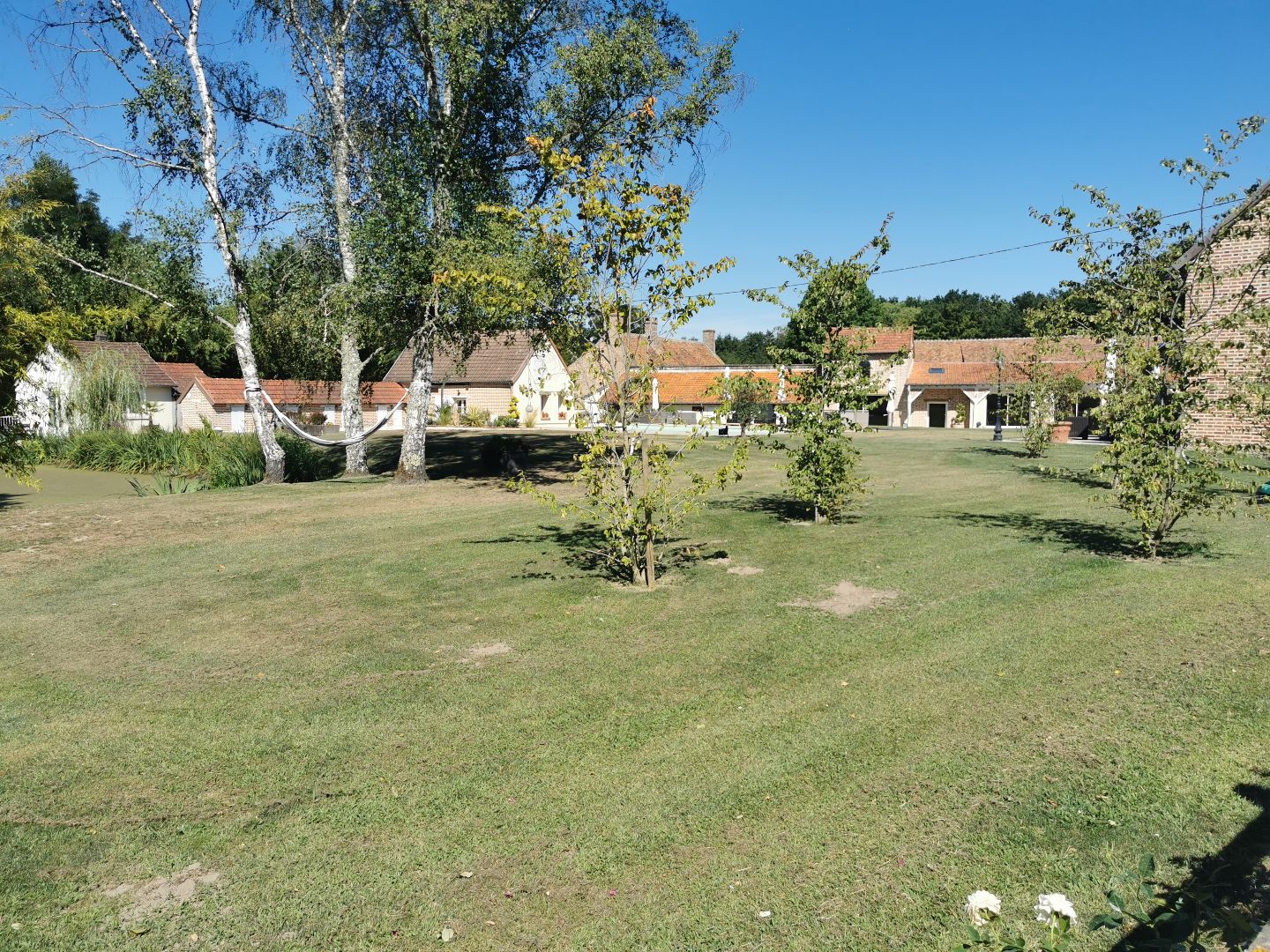 Maison à vendre  - 10 pièce(s) - 431m2 - Saint-viâtre (41210)