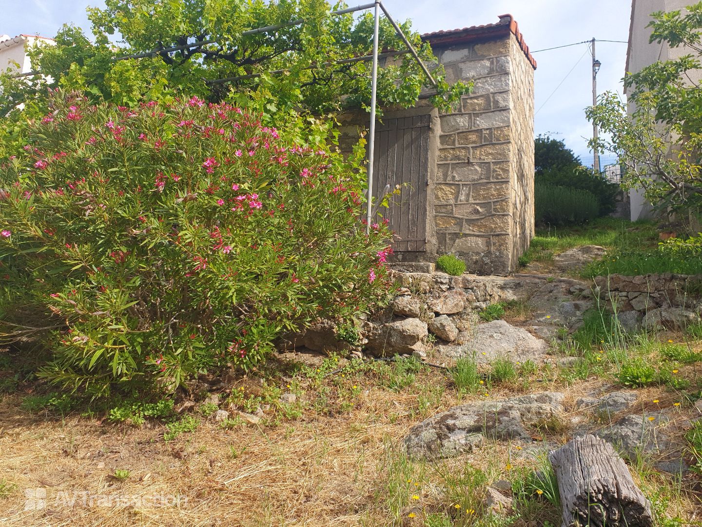 EVISA, maison de village atypique avec jardin.