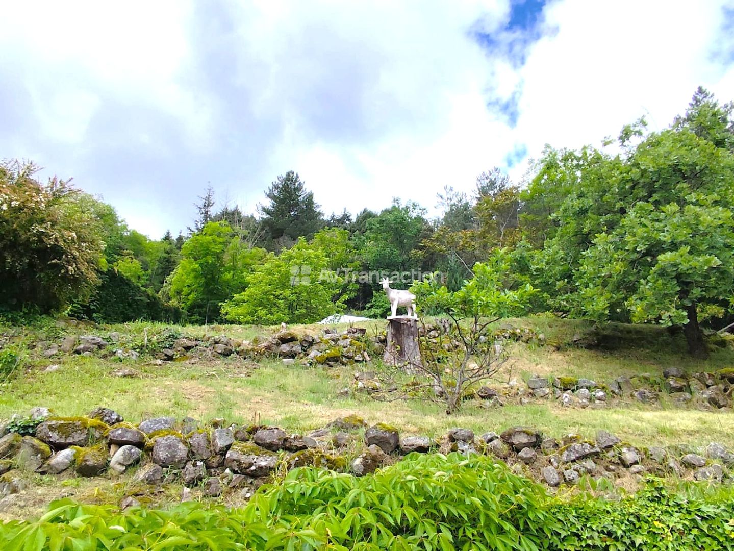 Maison avec piscine plus terrain constructible indépendant