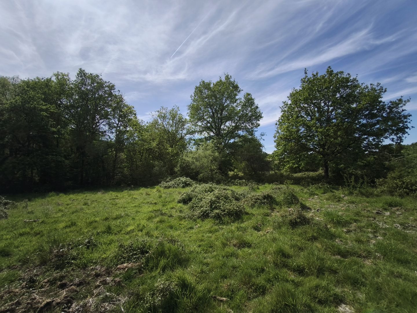 Corps de ferme à vendre  - 80000m2 - Loreux (41200)