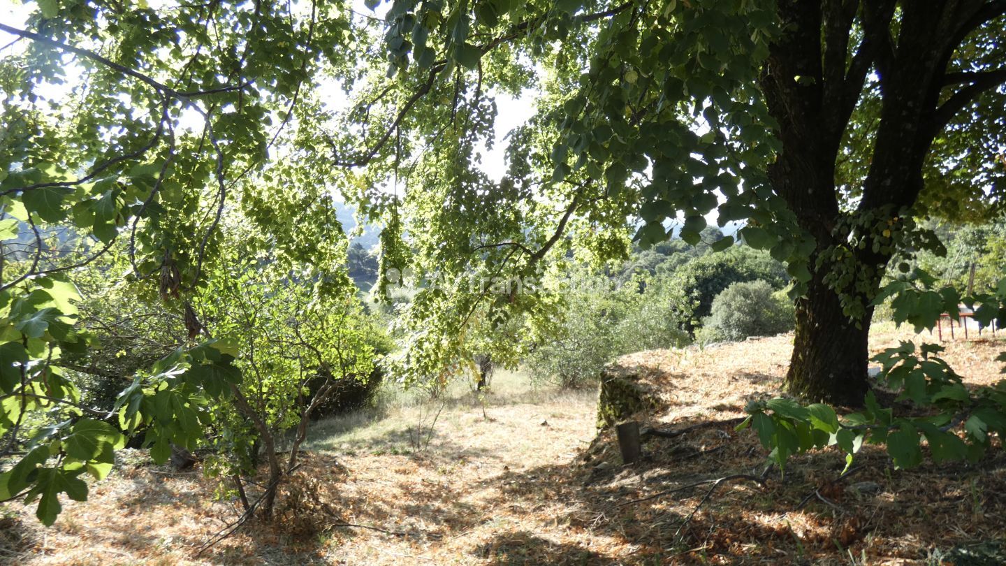 Maison de campagne à vendre  - 7 pièce(s) - 127m2 - Soudorgues (30460)