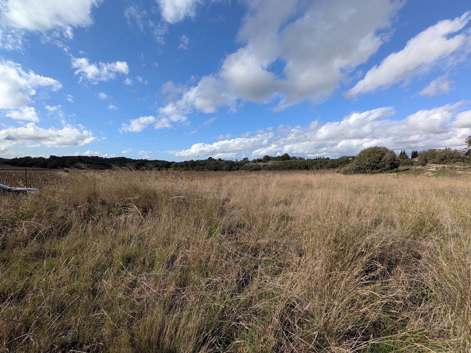 Terrain constructible à vendre  - 2640m2 - Escales (11200)
