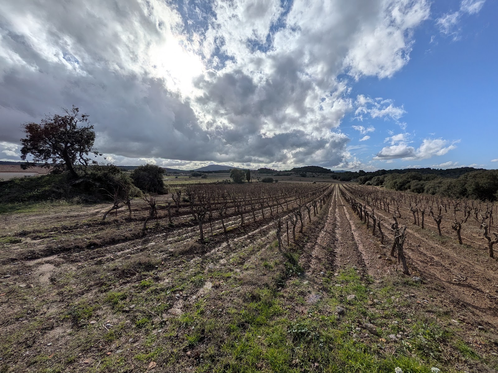 Terrain constructible à vendre  - 1320m2 - Escales (11200)