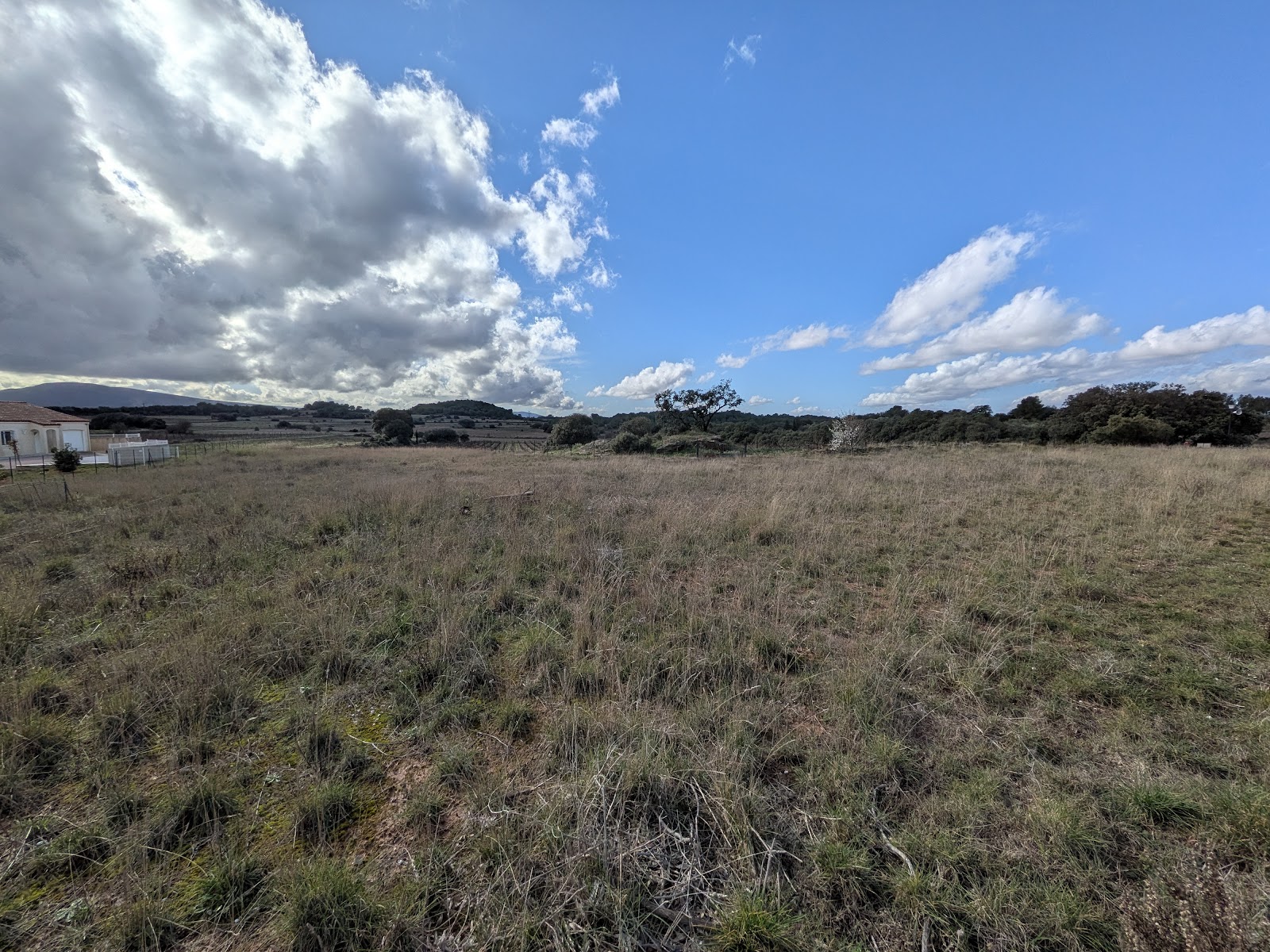 Terrain constructible à vendre  - 1320m2 - Escales (11200)