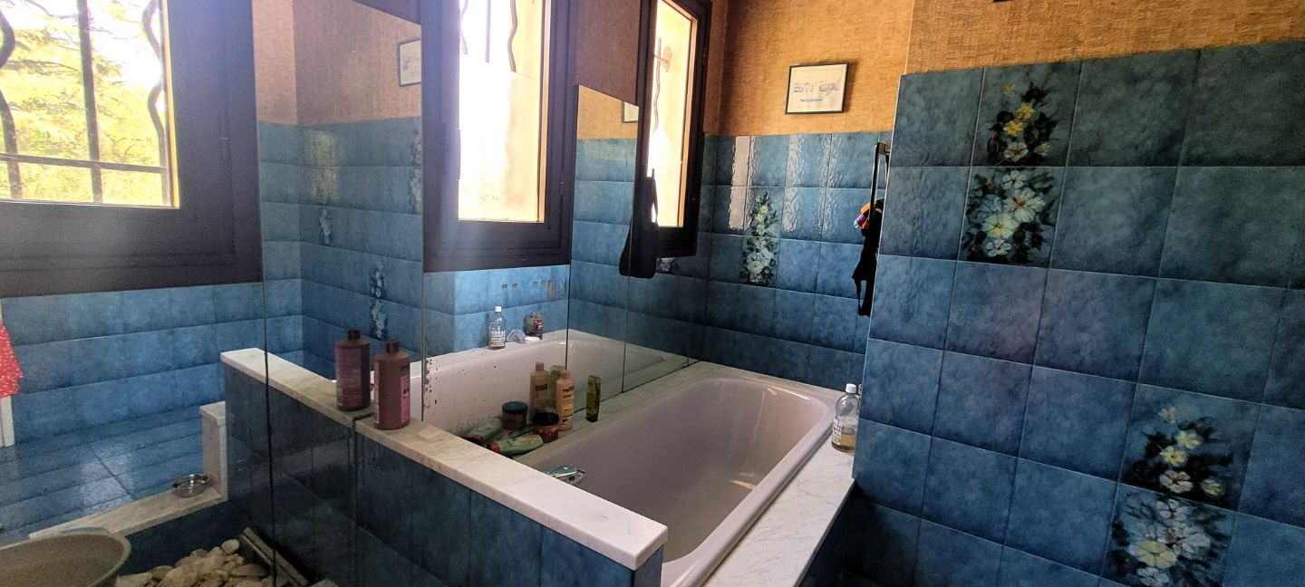 33910 ST DENIS DE PILE - MAISON 116M² 3 CHAMBRES 6800M² JARDIN