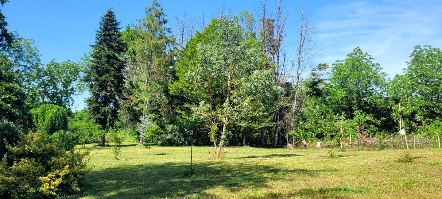 33910 ST DENIS DE PILE - MAISON 116M² 3 CHAMBRES 6800M² JARDIN