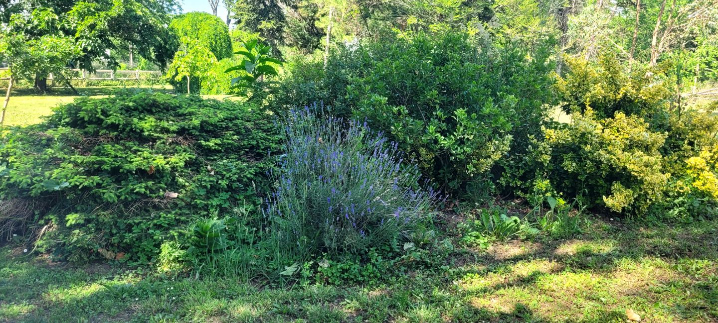 33910 ST DENIS DE PILE - MAISON 116M² 3 CHAMBRES 6800M² JARDIN