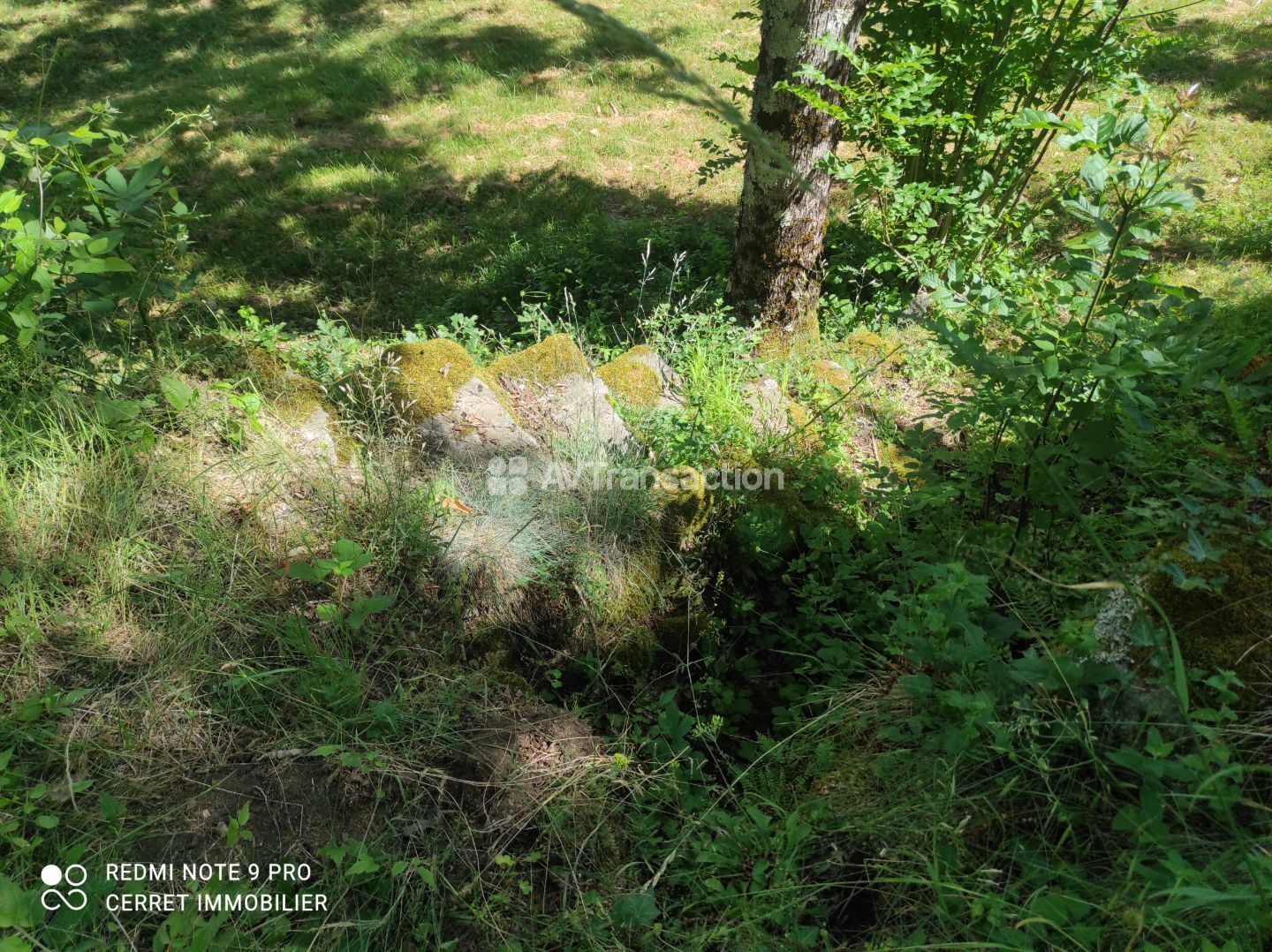 Terrain non constructible à vendre  - 5257m2 - Colognac (30460)