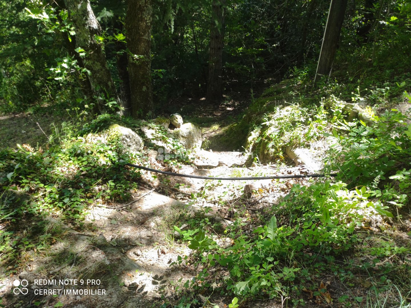 Terrain non constructible à vendre  - 5257m2 - Colognac (30460)