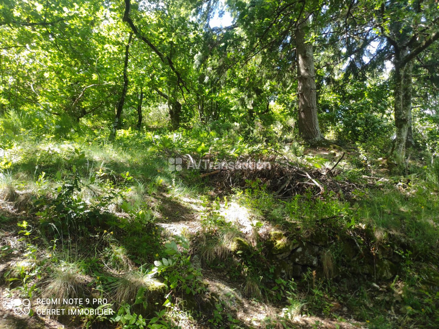 Terrain non constructible 5257 m²