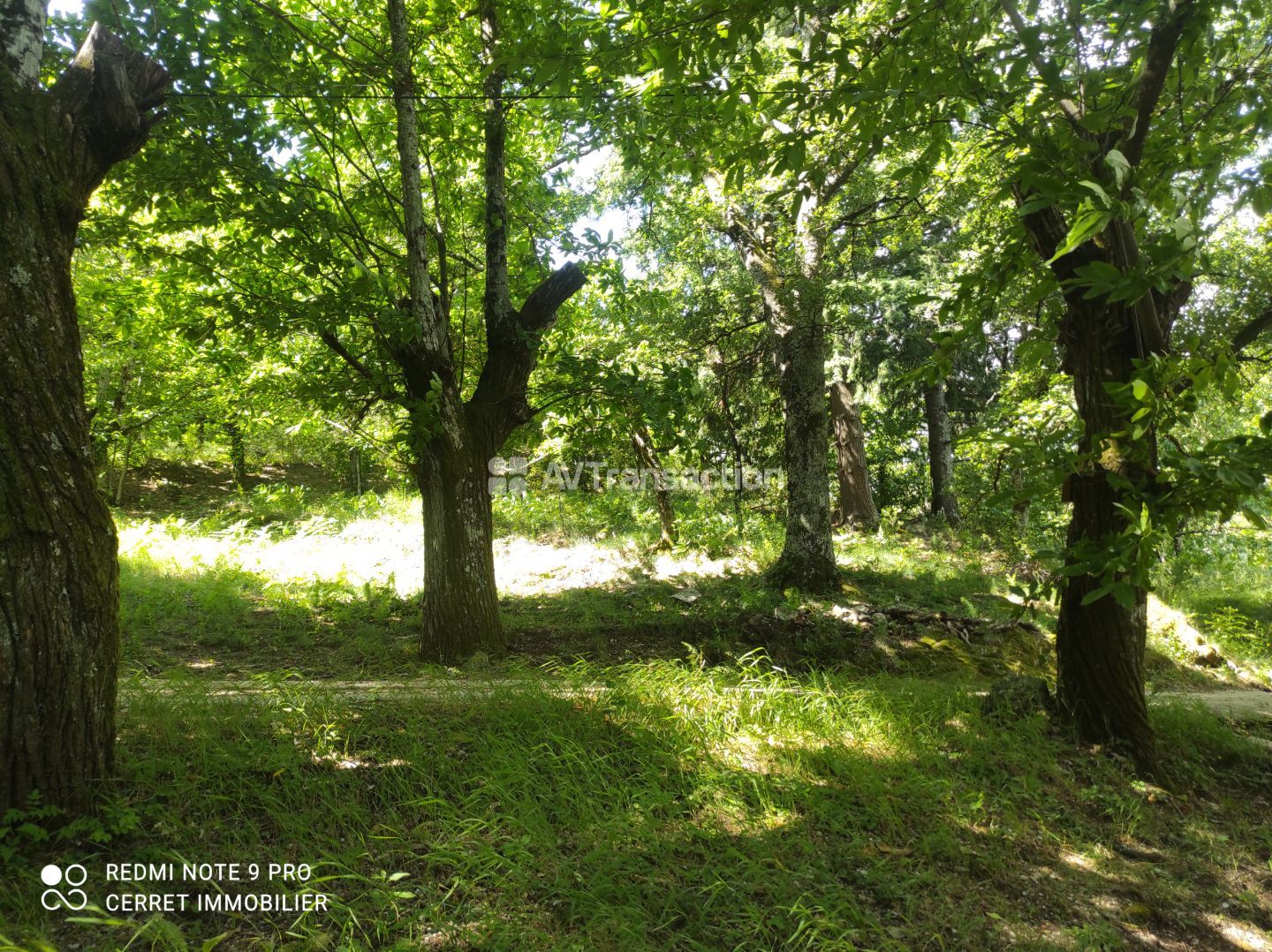 Terrain non constructible 5257 m²