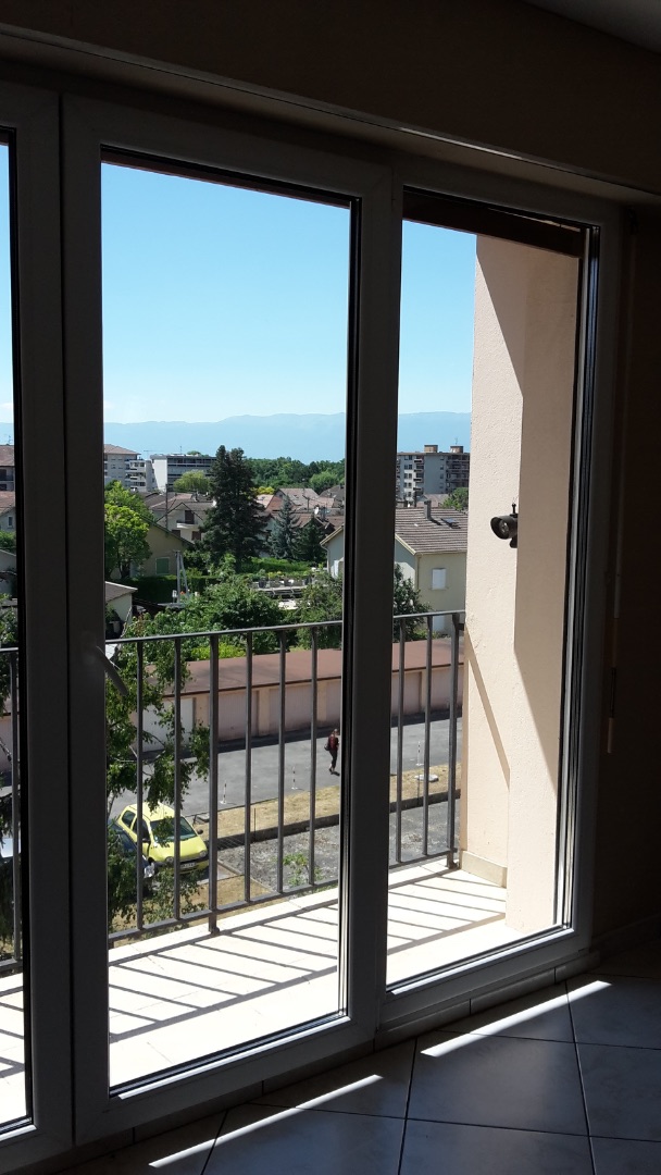 Appartement à vendre  - 4 pièce(s) - Ambilly (74100)