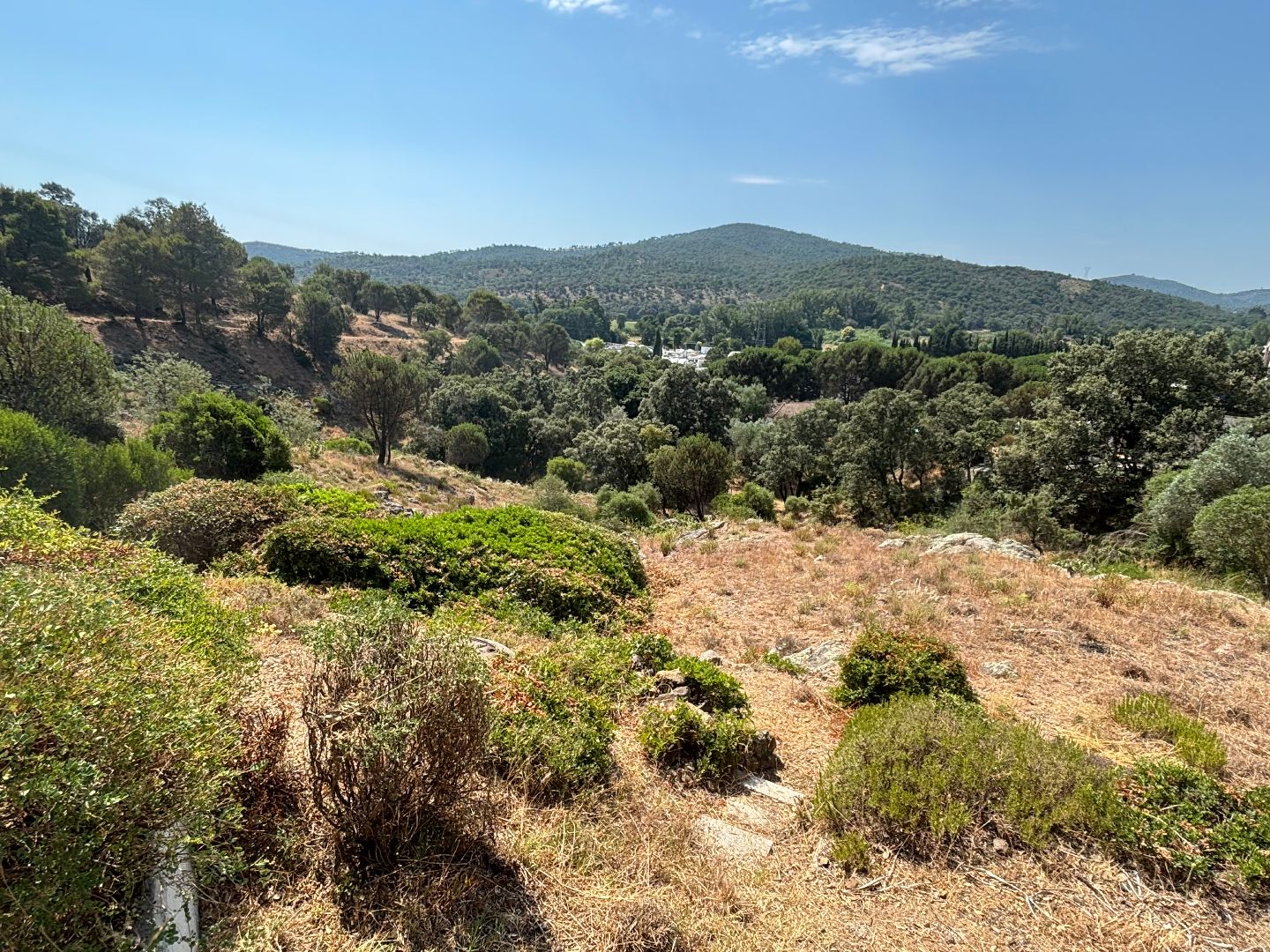 Chalet à vendre  - 2 pièce(s) - 33m2 - Roquebrune-sur-argens (83520)