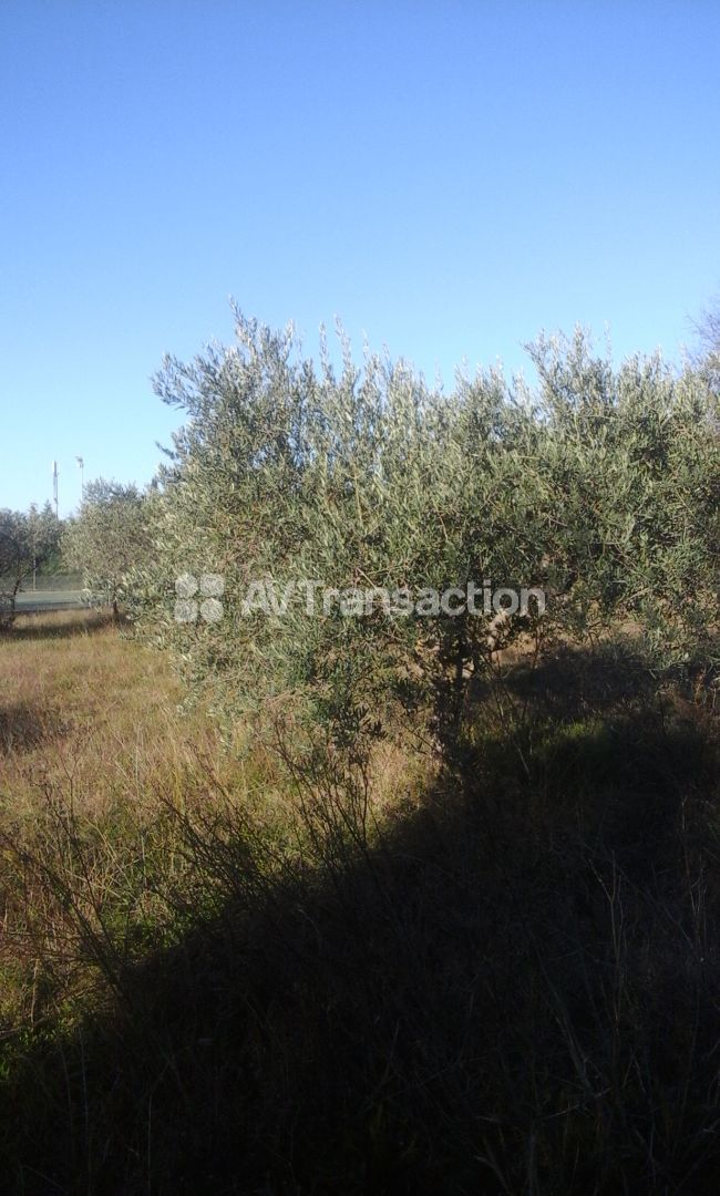 beau terrain constructible 600 m2