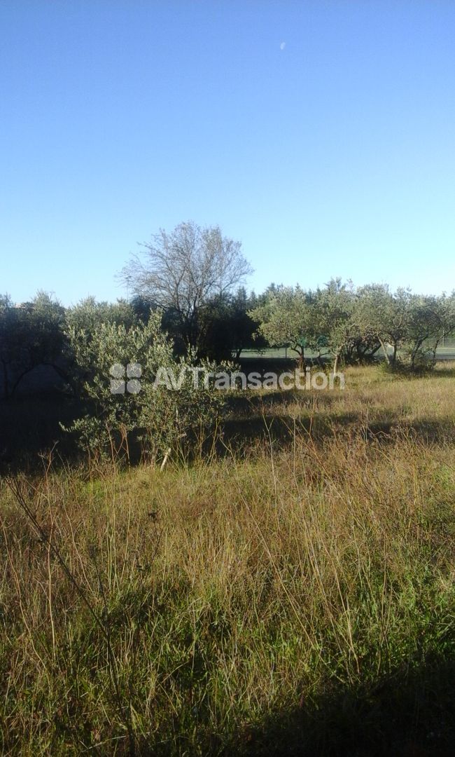 Terrain à vendre  - 900m2 - Mérindol (84360)