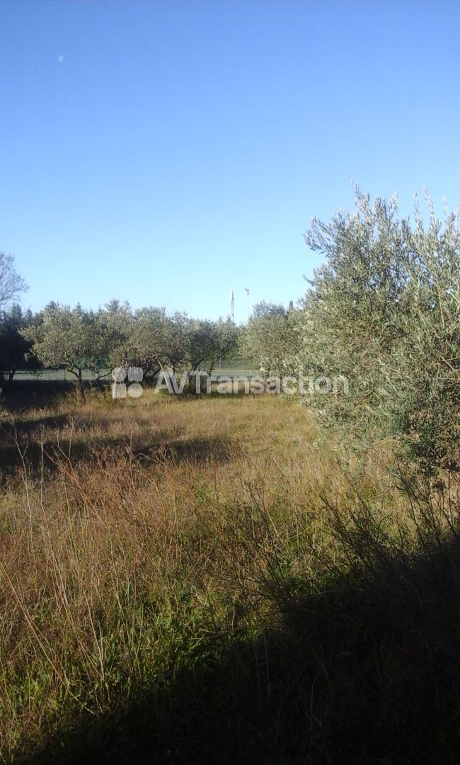 Terrain à vendre  - 900m2 - Mérindol (84360)