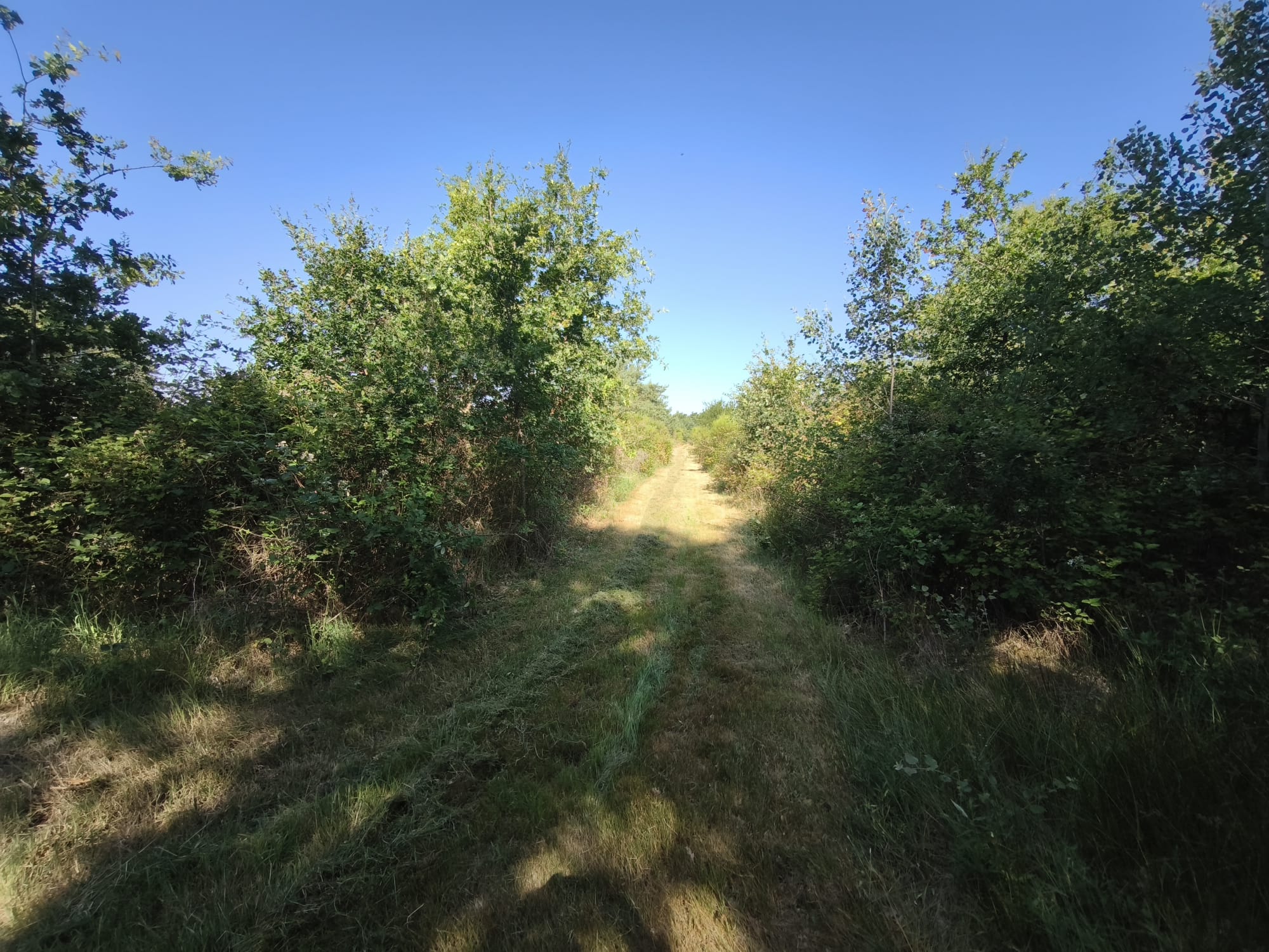 Propriété de plus de 8,5 hectares – Maison familiale avec piscin