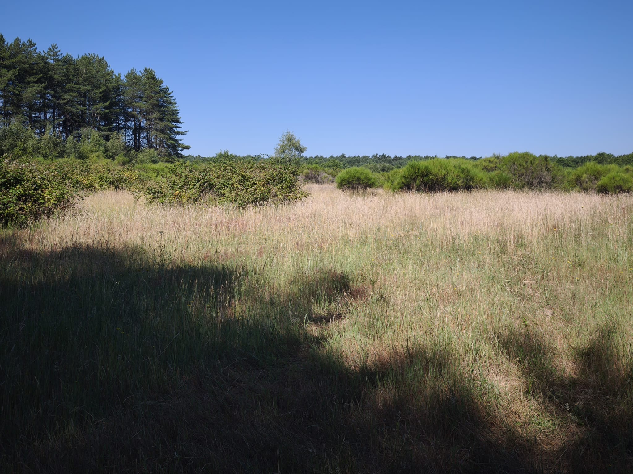 Propriété de plus de 8,5 hectares – Maison familiale avec piscin