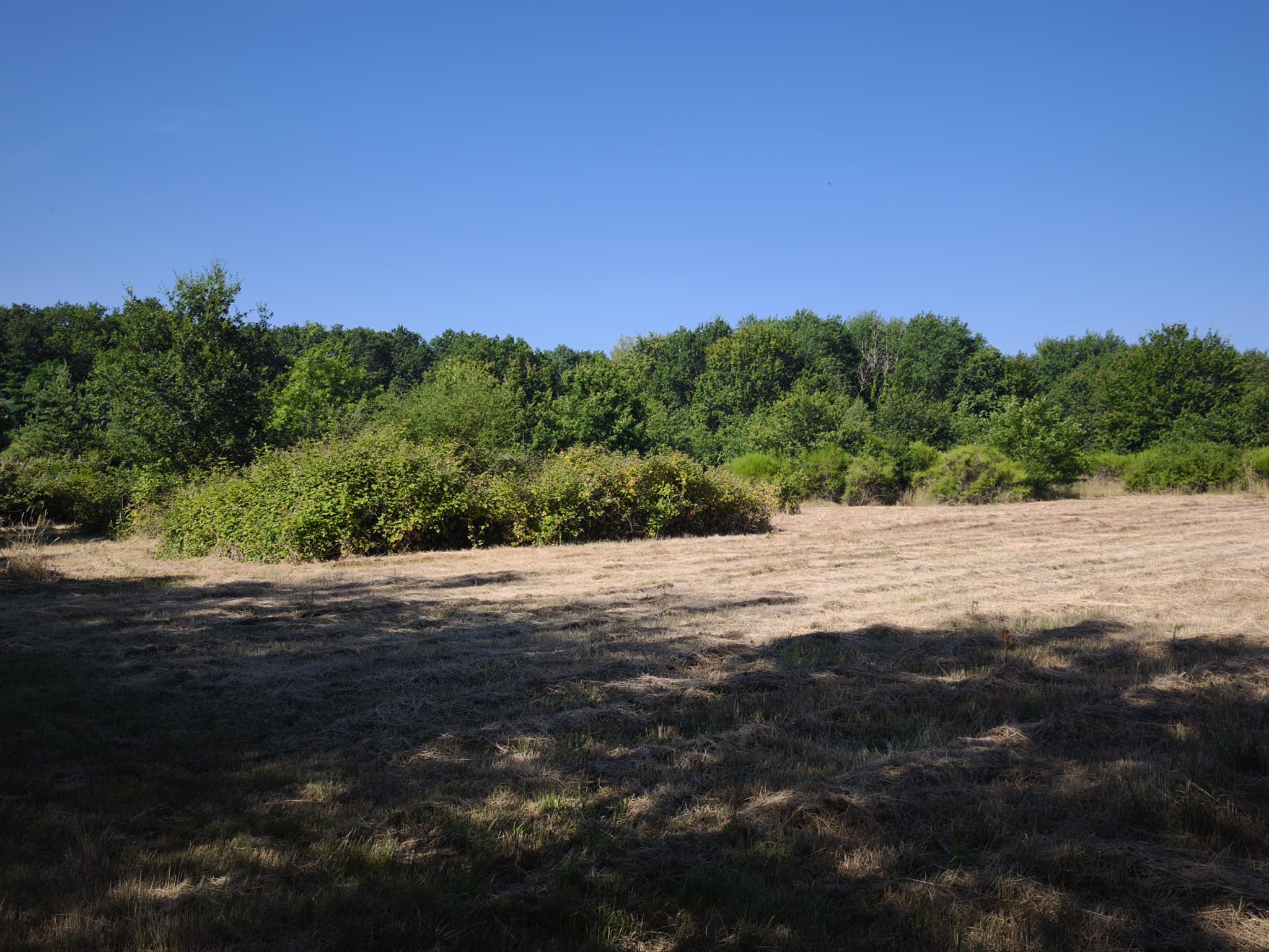 Propriété de plus de 8,5 hectares – Maison familiale avec piscin