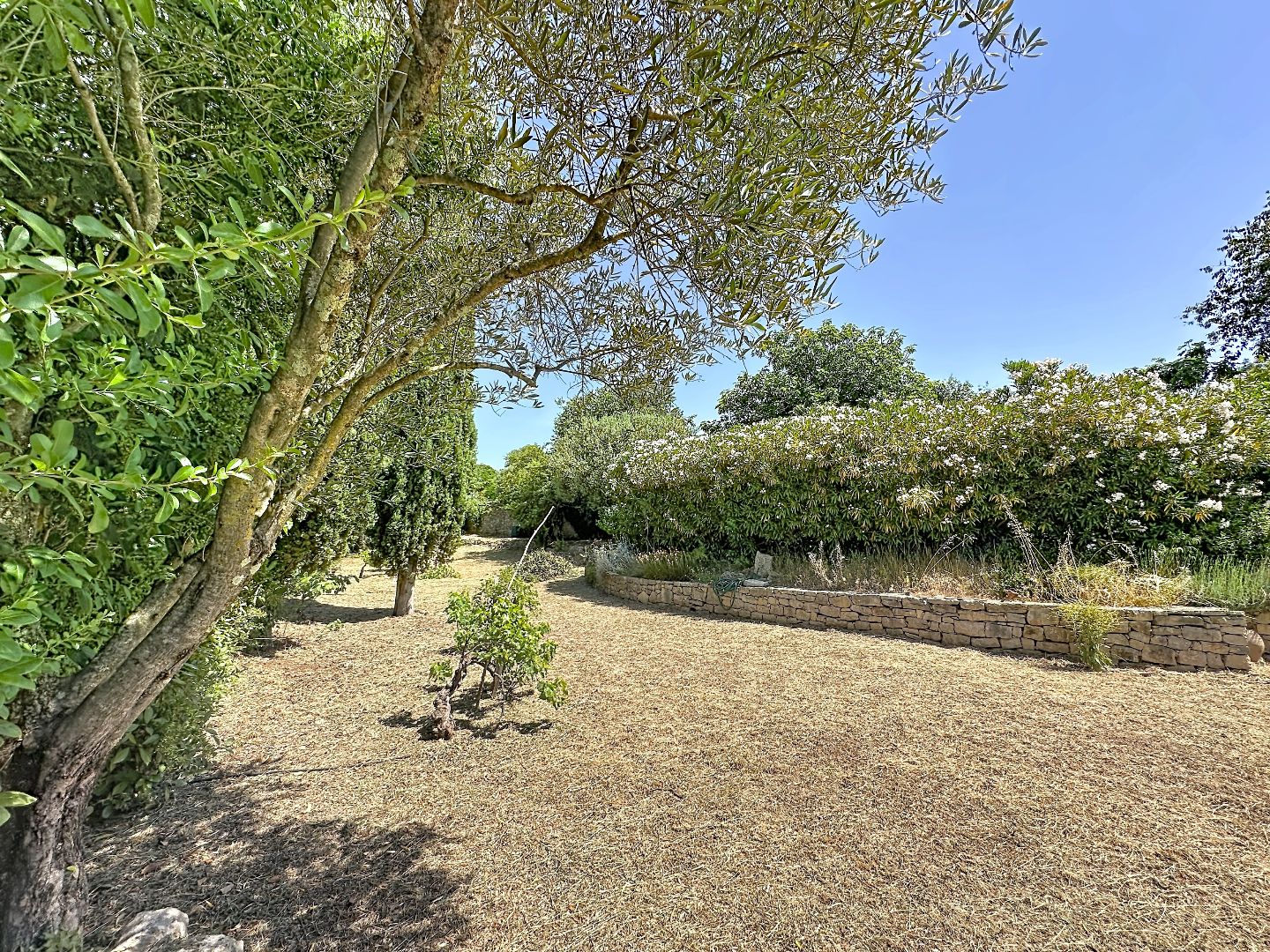 Charme d'une Bastide  de 1780 avec piscine et jardin à Lorgues