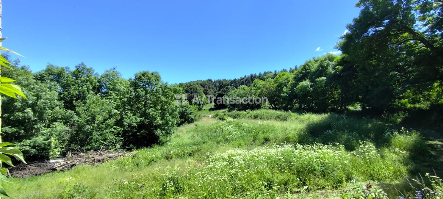 Pour les amoureux de rénovation, 440m2 potentiel, 1.9 hectares 