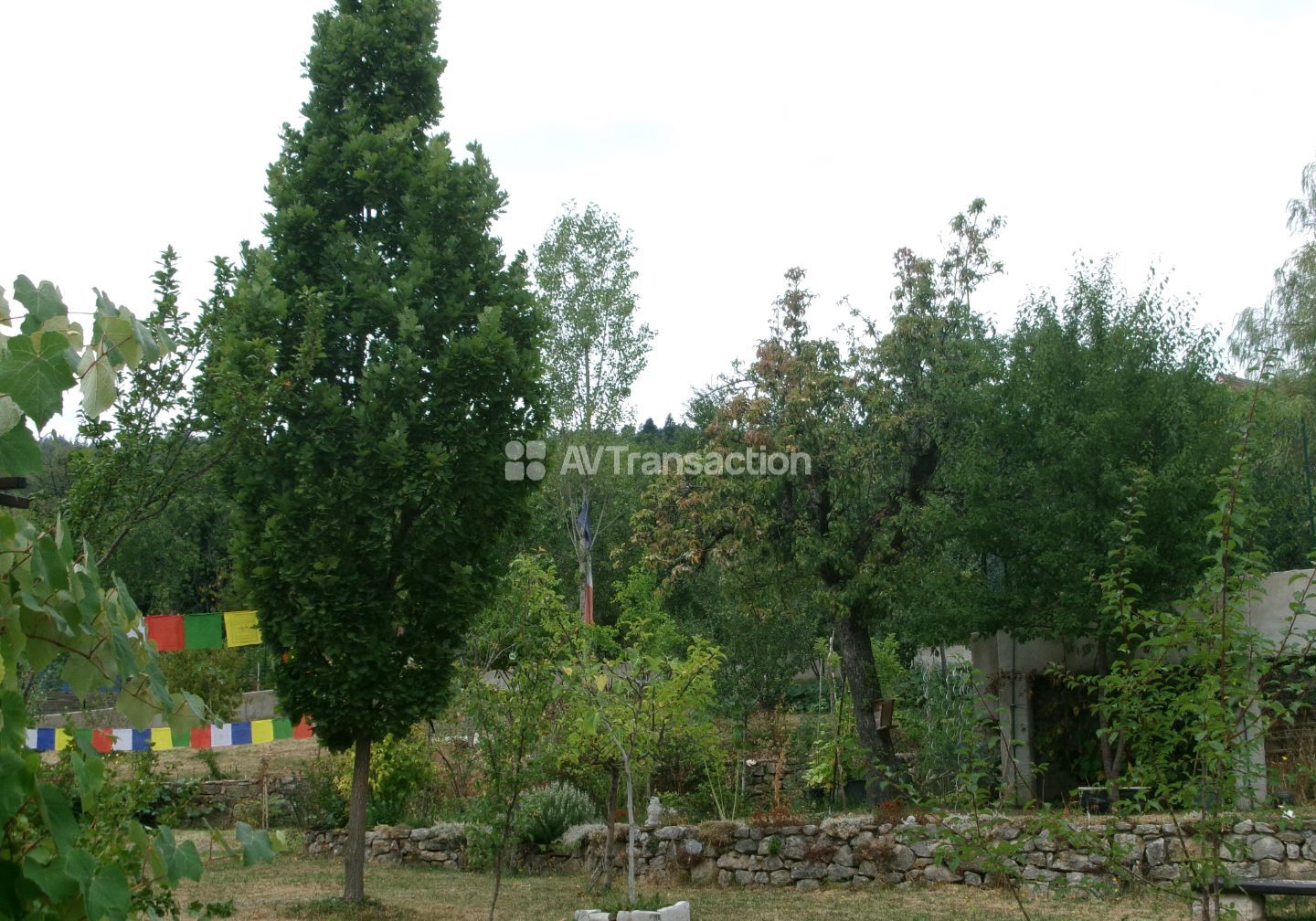 Maison pierre 140 m² dans un havre de paix biodiversifié