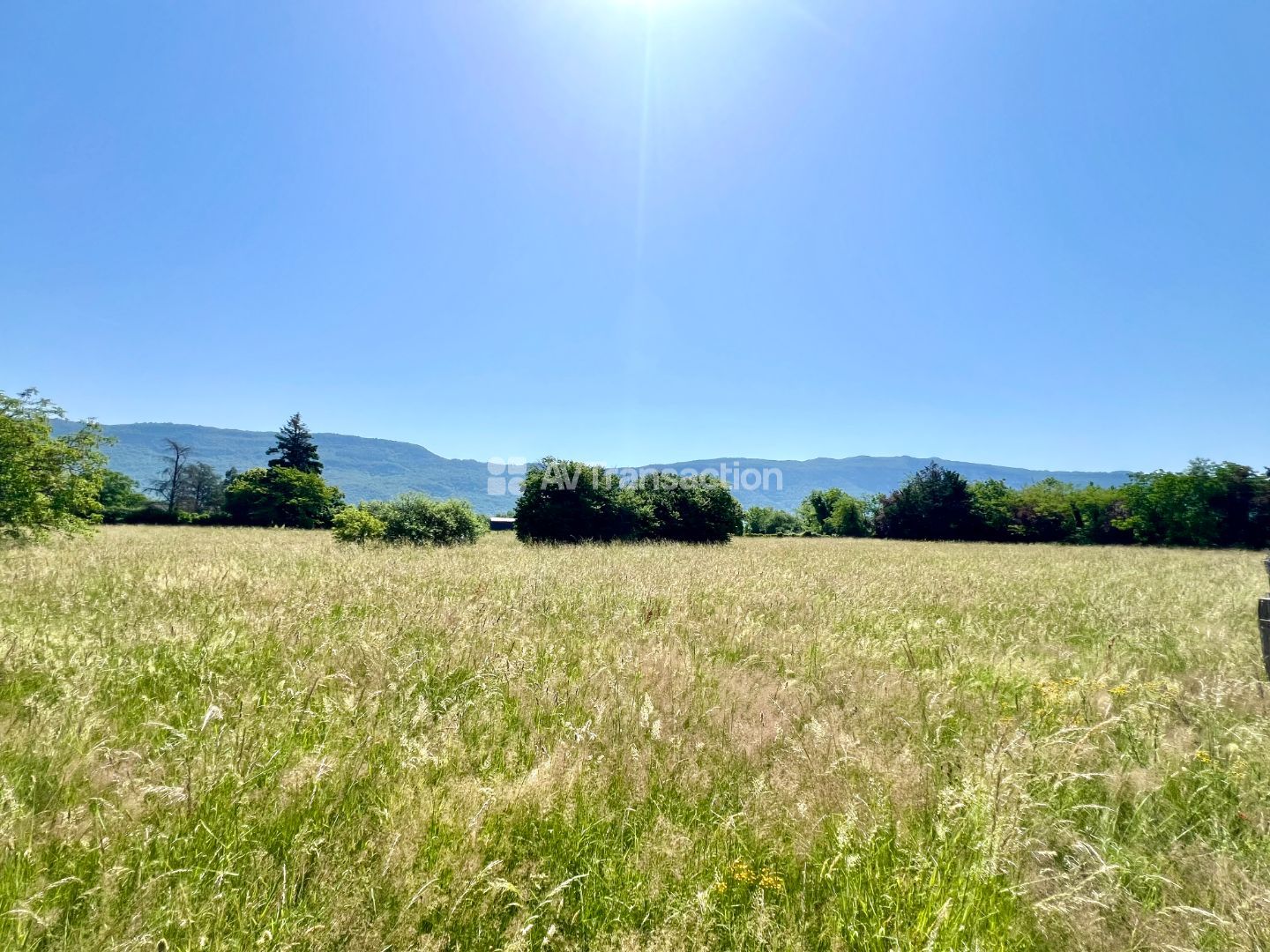Villa d'architecte à vendre  - 6 pièce(s) - 250m2 - Yenne (73170)