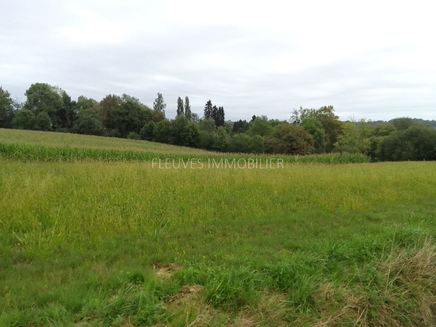Terrain constructible à vendre  - 2000m2 - Navarrenx (64190)