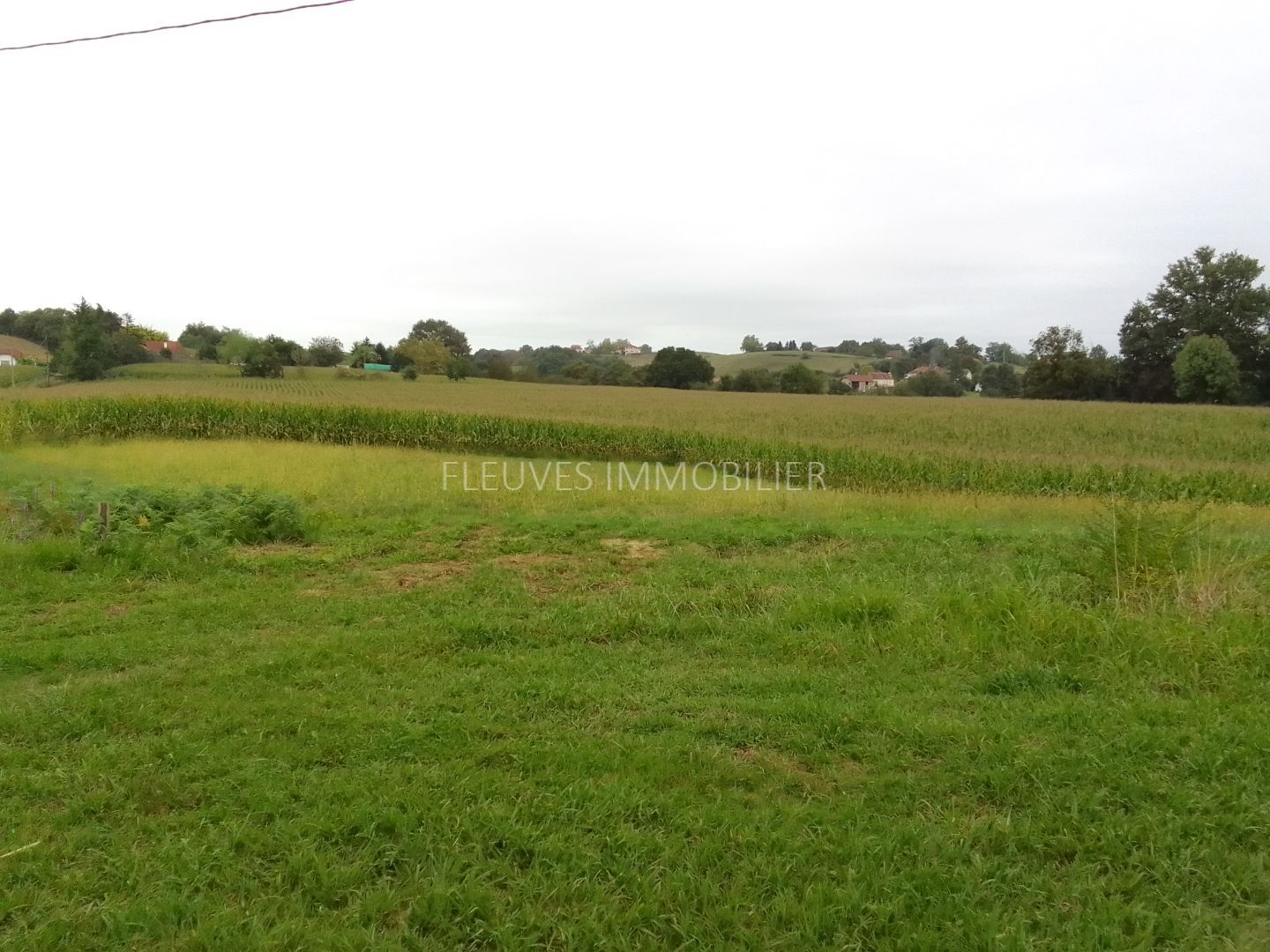 Terrain constructible à vendre  - 2000m2 - Navarrenx (64190)