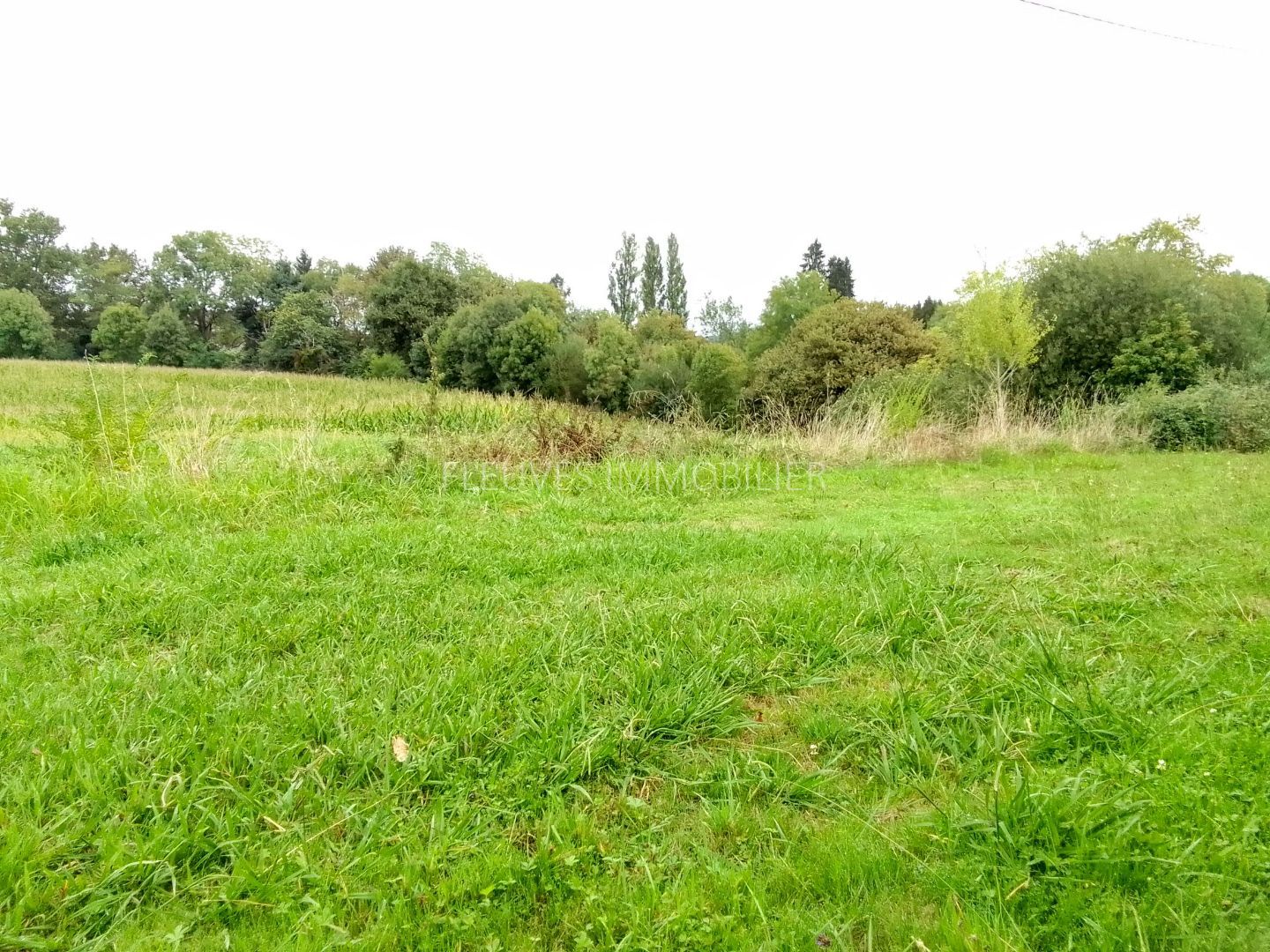Terrain constructible à vendre  - 2000m2 - Navarrenx (64190)