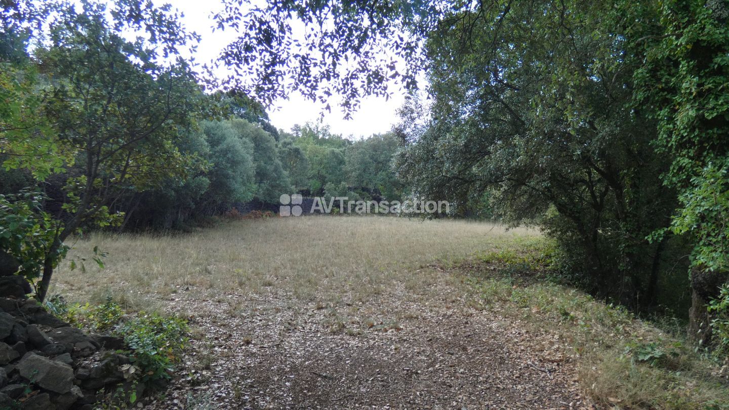 Deux maisons, un studio, dépendances sur 26 hectares