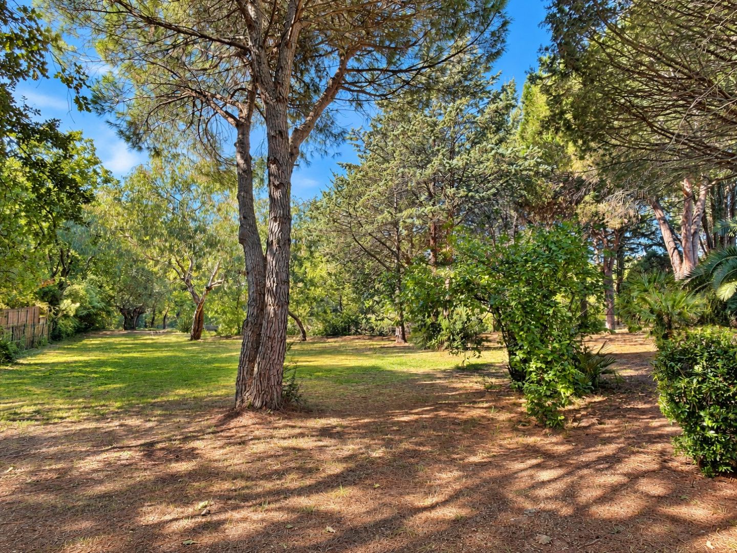 Propriété atypique de 233 m² sur 1 hectare avec piscine et étang