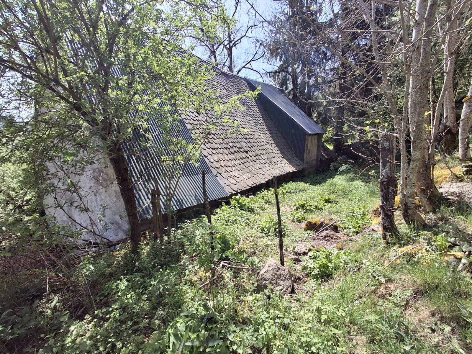 Grange à vendre  - 2 pièce(s) - 200m2 - Cheylade (15400)
