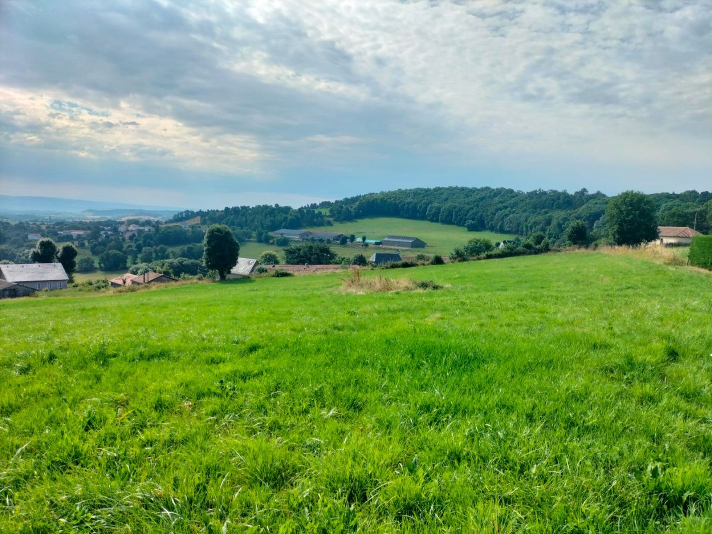 Terrain à batir - 9 101 m²