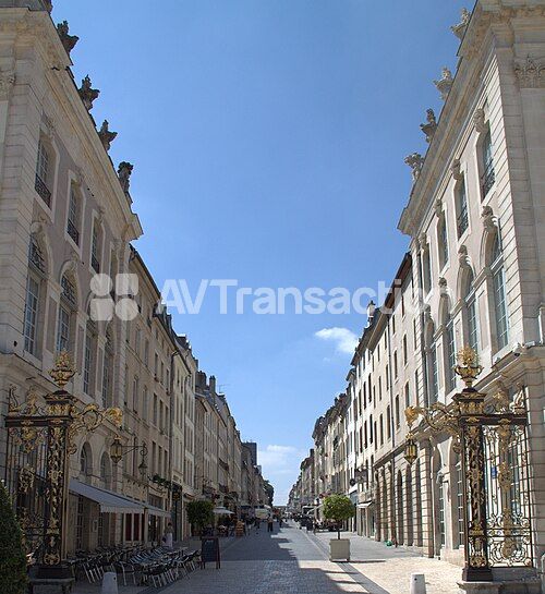 Bel immeuble de rapport  rue Stanislas NANCY