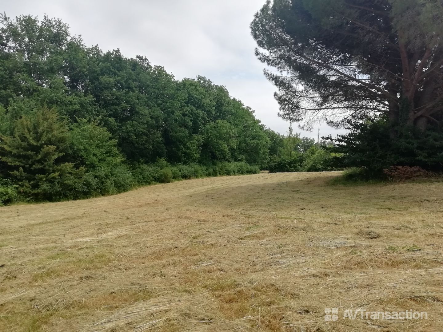 terrain a bâtir 898 m²