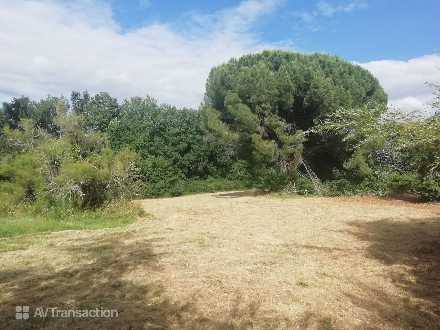 terrain a bâtir 898 m²