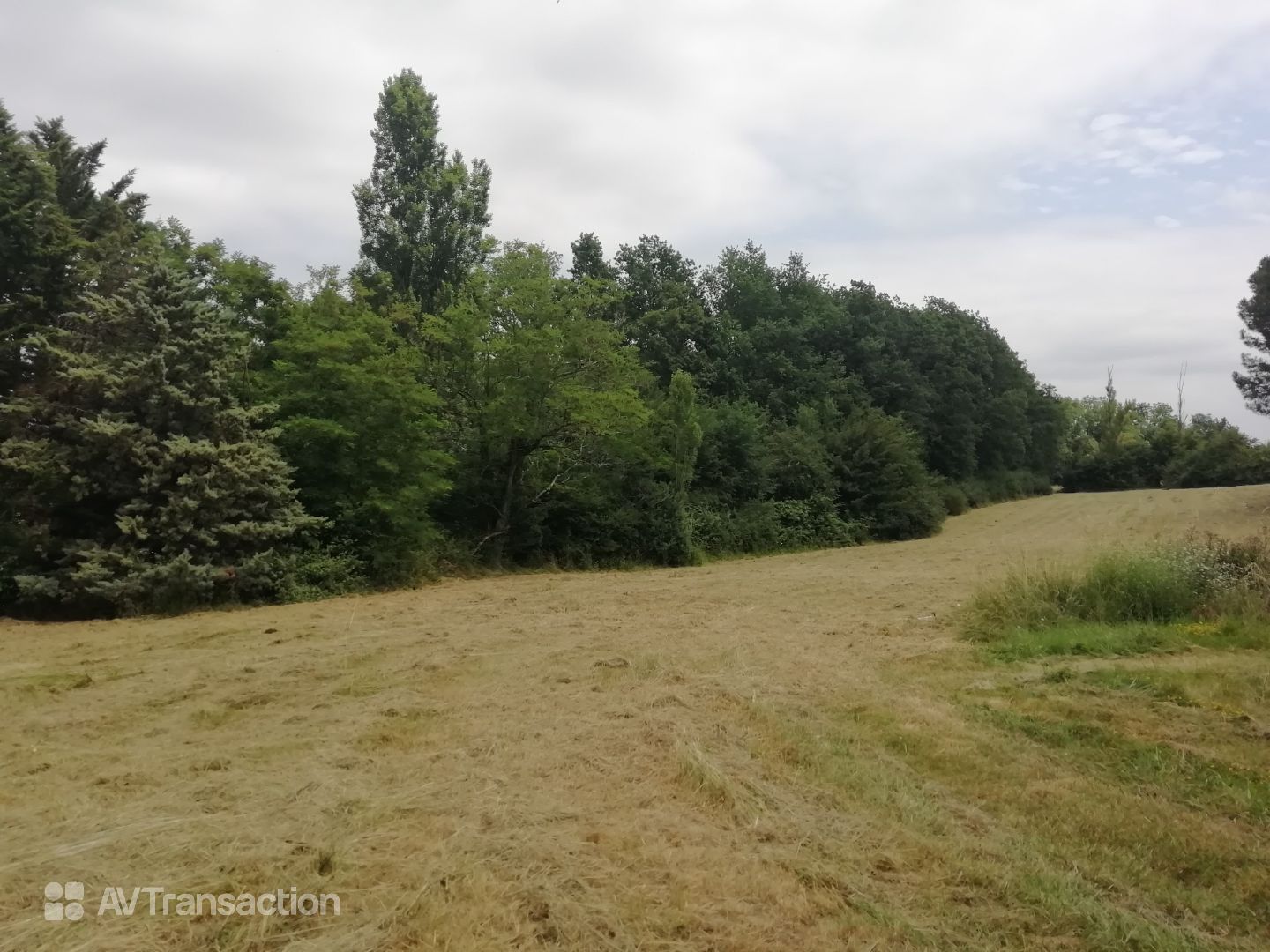terrain a bâtir 898 m²