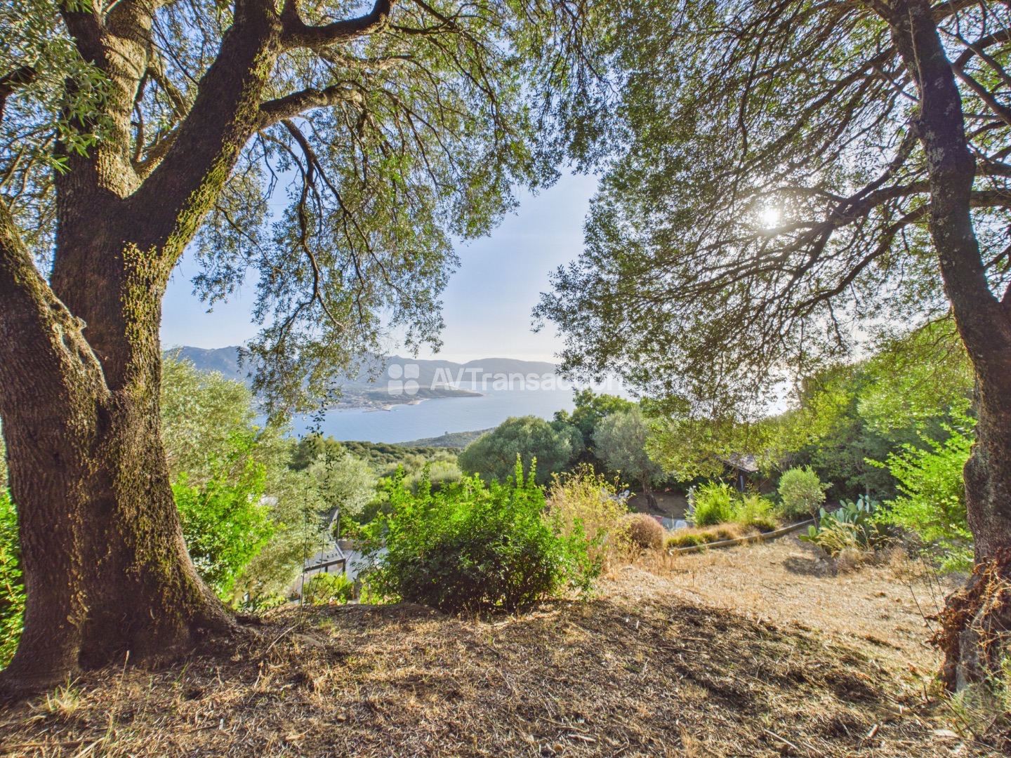 Olmeto – Propriété d’exception avec vue mer 