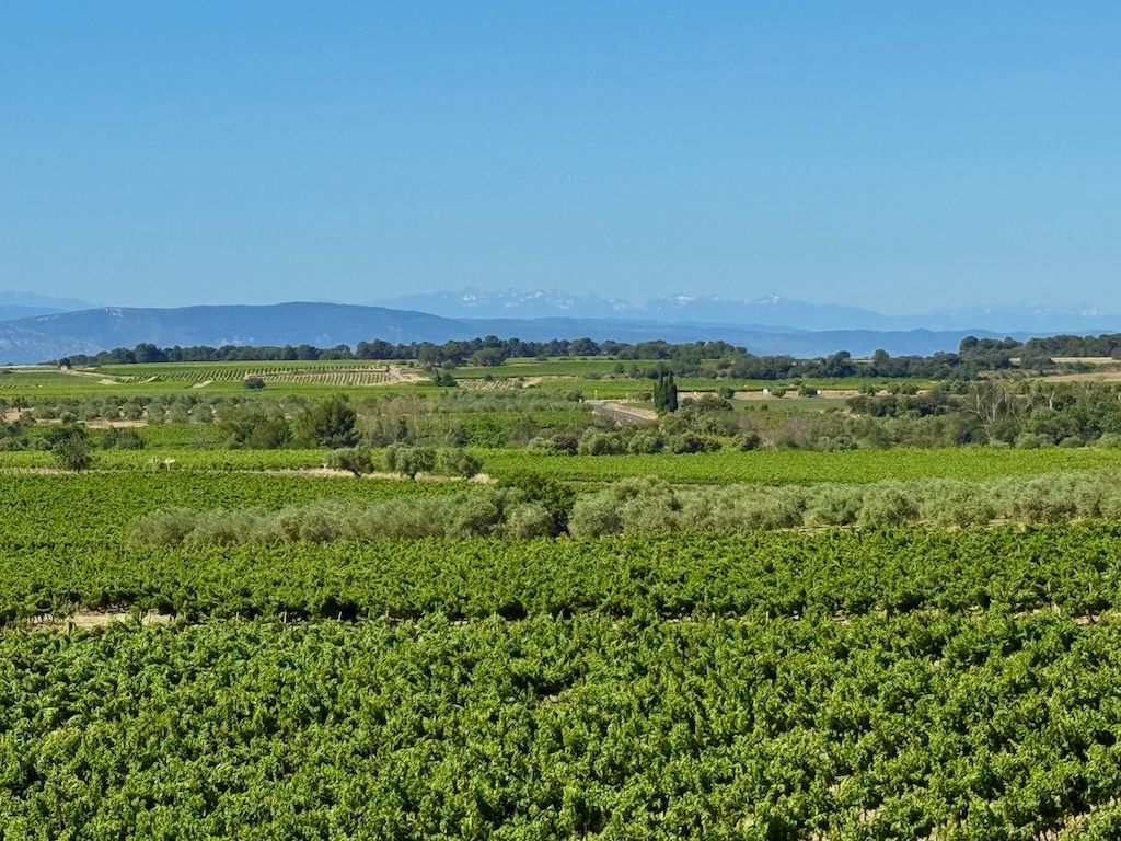 Maison de vigneronne d'exception 