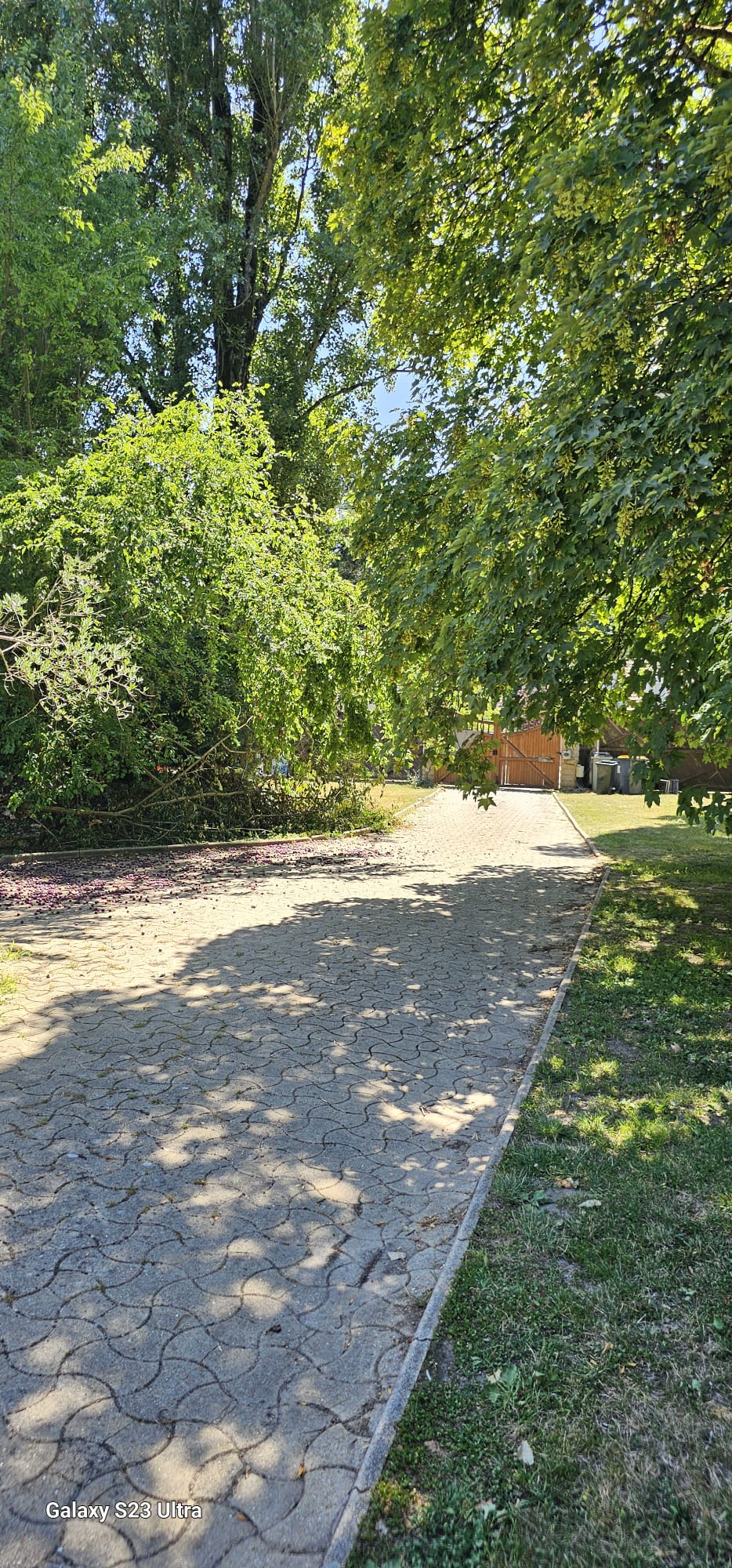 Ensemble Immobilier d'exception: Maison, 2 appartements, 1chalet